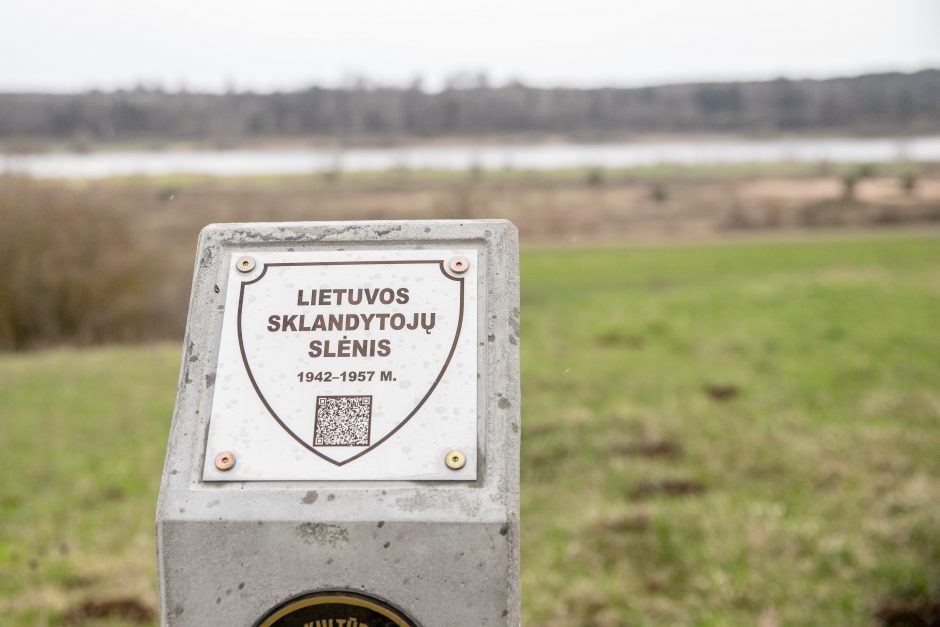 Pakarklės miškas – tikras lobynas: yra sakančių, kad čia Lietuvos Šveicarija