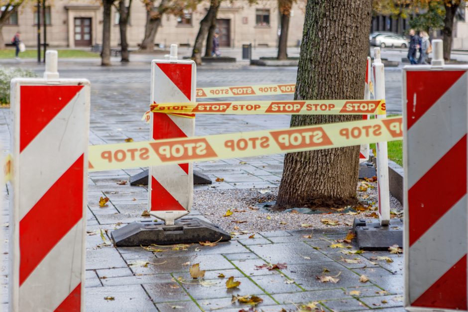 Užkliuvo medžiai Miesto sode: šaknys dengiamos nederančiais akmenukais