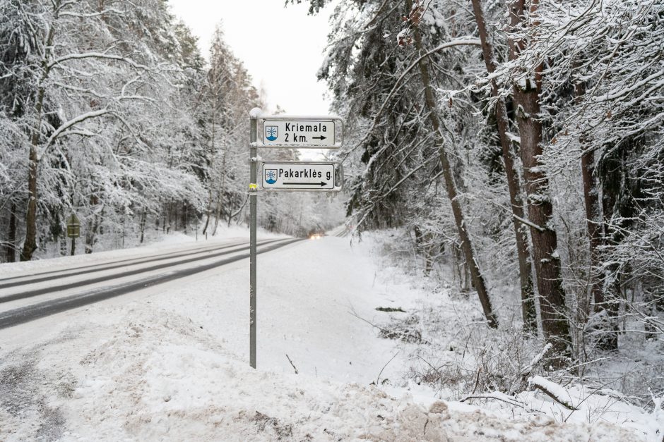 Nesibaigianti kova prieš Pakarklės miško karjerą: bendruomenės pozicija – neginčijama