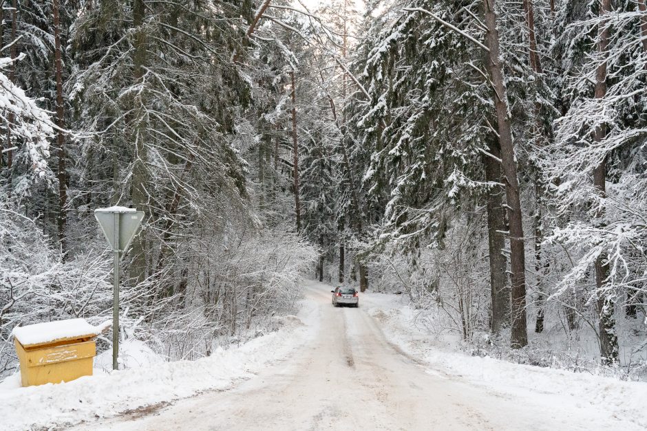 Nesibaigianti kova prieš Pakarklės miško karjerą: bendruomenės pozicija – neginčijama