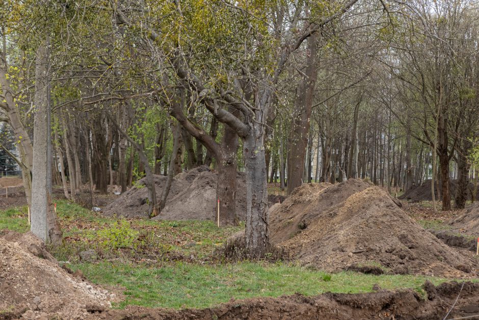 Skvere klojami takai, nors neišvežtos šiukšlės?