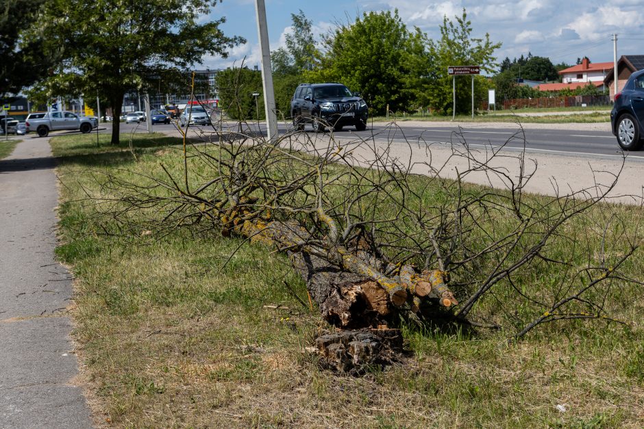 Vaišvydaviškis: esame užmaitinti pažadais