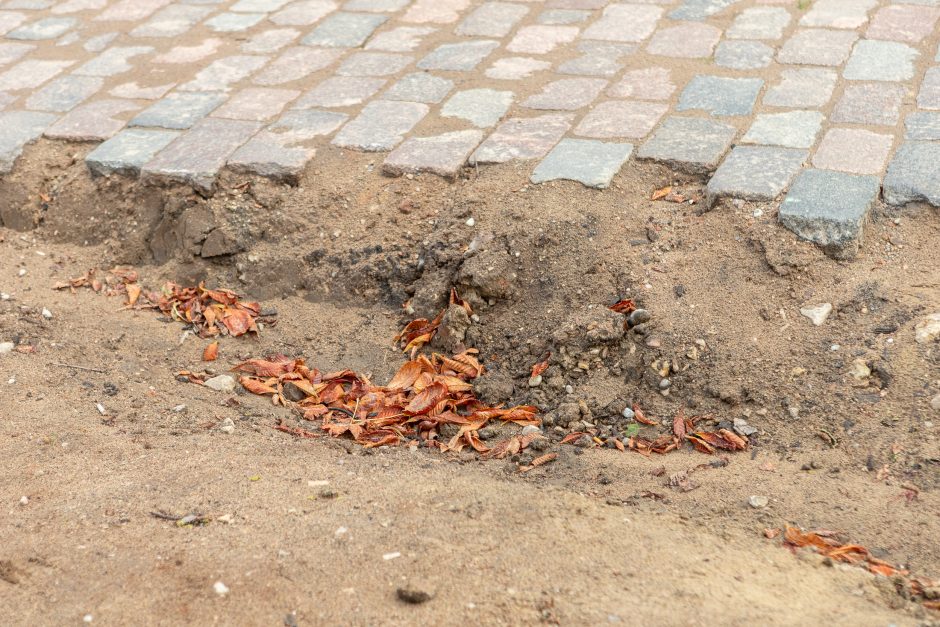 Rotušės aikštėje klumpa turistai: ką daryti?