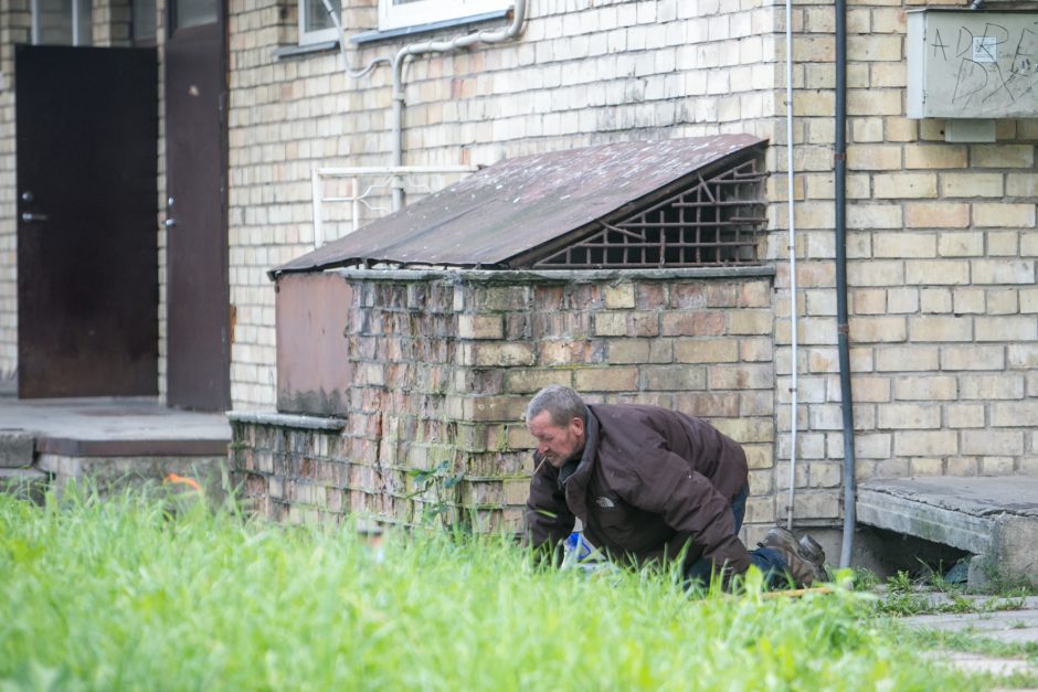 Benamių viešbutis po krūmais: vieni nori būti pakrikštyti, kiti – numirti