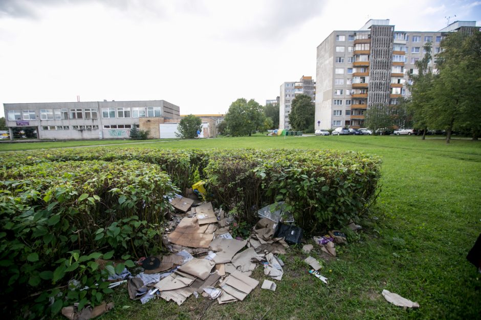 Benamių viešbutis po krūmais: vieni nori būti pakrikštyti, kiti – numirti