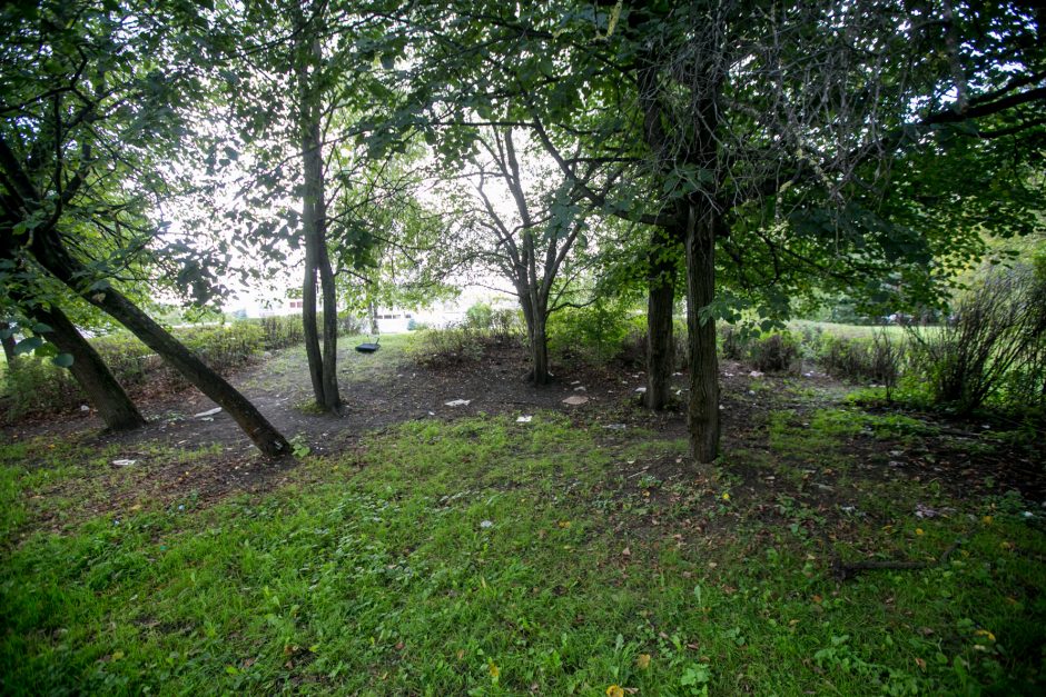 Benamių viešbutis po krūmais: vieni nori būti pakrikštyti, kiti – numirti