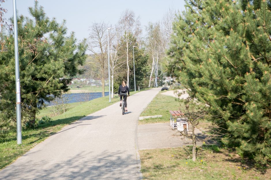 Supykdė planai dėl naujos gatvės: prie Nemuno gamtą pakeis asfaltas?