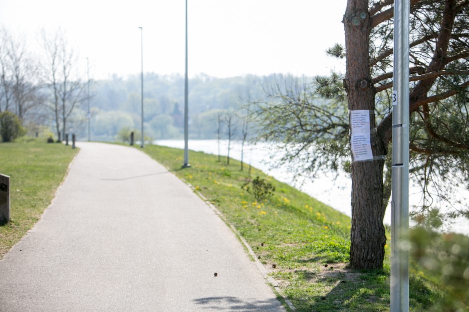 Supykdė planai dėl naujos gatvės: prie Nemuno gamtą pakeis asfaltas?