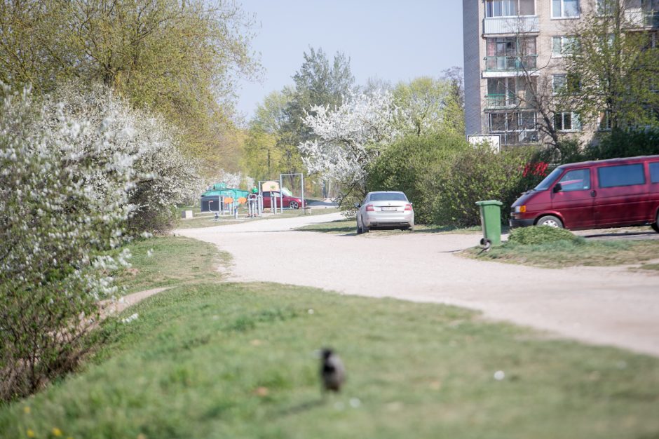 Supykdė planai dėl naujos gatvės: prie Nemuno gamtą pakeis asfaltas?