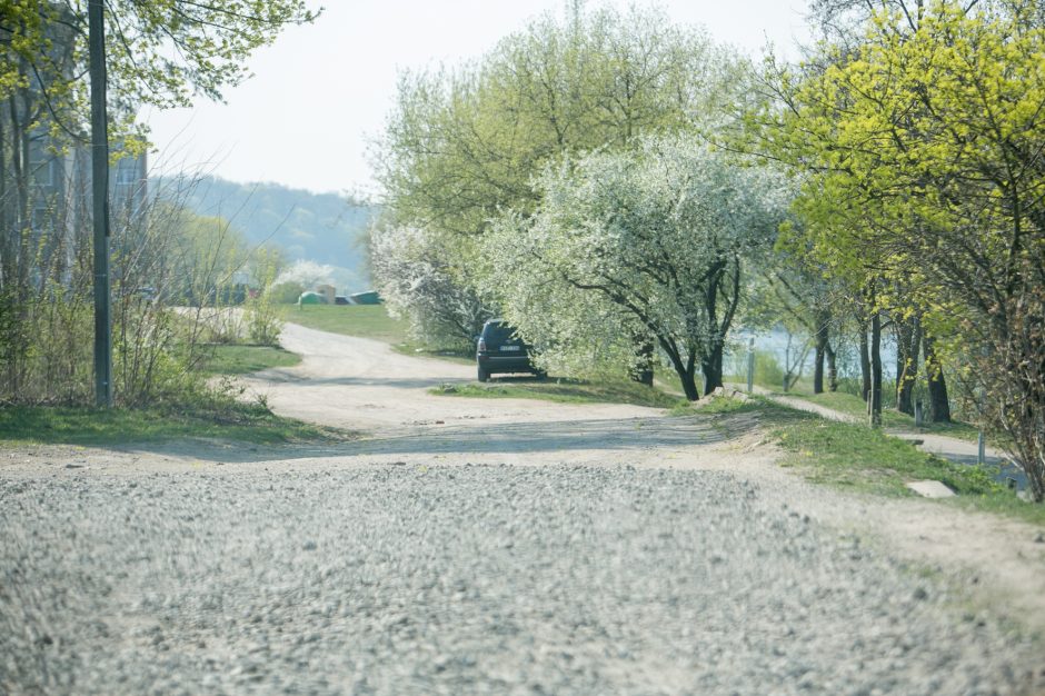 Supykdė planai dėl naujos gatvės: prie Nemuno gamtą pakeis asfaltas?