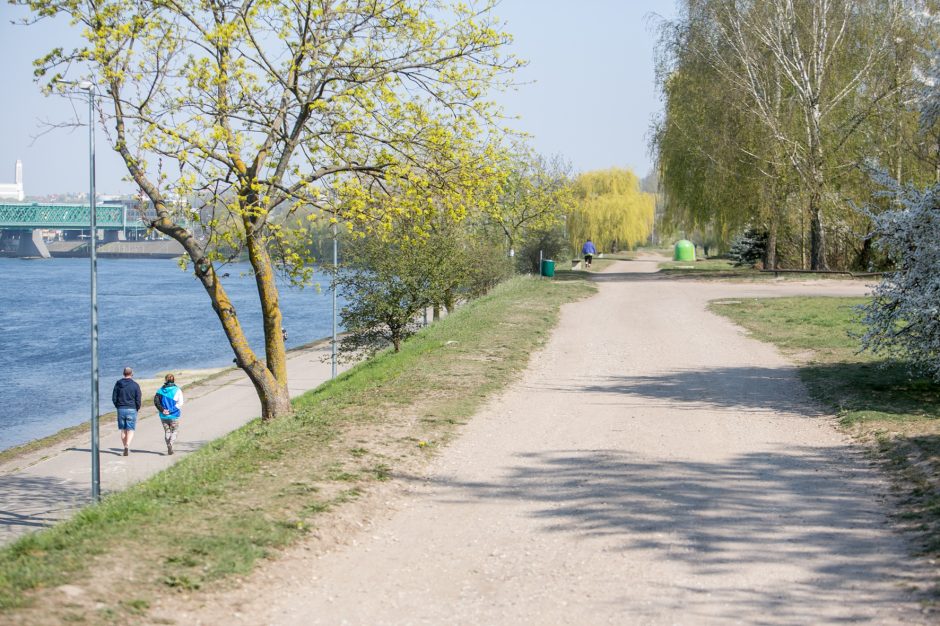 Supykdė planai dėl naujos gatvės: prie Nemuno gamtą pakeis asfaltas?