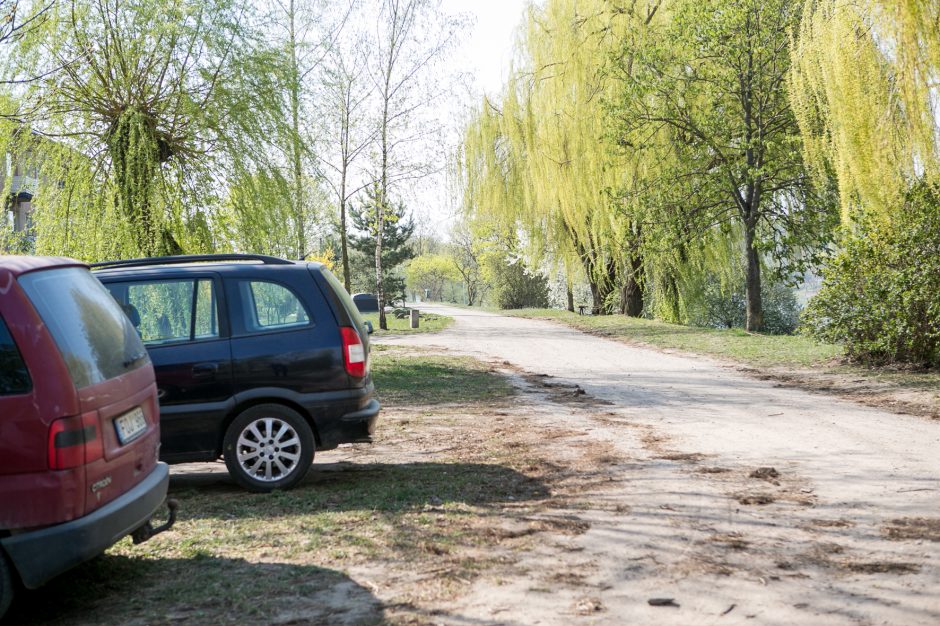 Supykdė planai dėl naujos gatvės: prie Nemuno gamtą pakeis asfaltas?