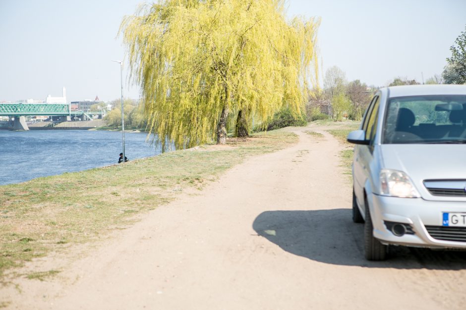 Supykdė planai dėl naujos gatvės: prie Nemuno gamtą pakeis asfaltas?