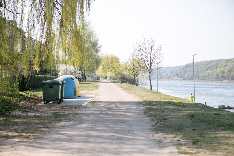 Supykdė planai dėl naujos gatvės: prie Nemuno gamtą pakeis asfaltas?