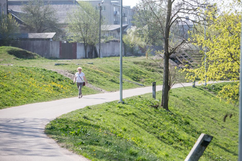 Supykdė planai dėl naujos gatvės: prie Nemuno gamtą pakeis asfaltas?