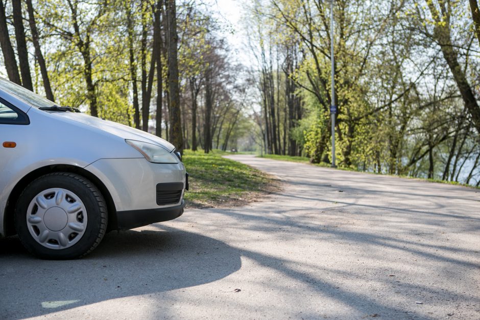 Supykdė planai dėl naujos gatvės: prie Nemuno gamtą pakeis asfaltas?