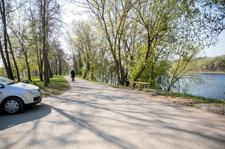 Supykdė planai dėl naujos gatvės: prie Nemuno gamtą pakeis asfaltas?