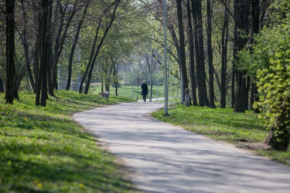 Supykdė planai dėl naujos gatvės: prie Nemuno gamtą pakeis asfaltas?