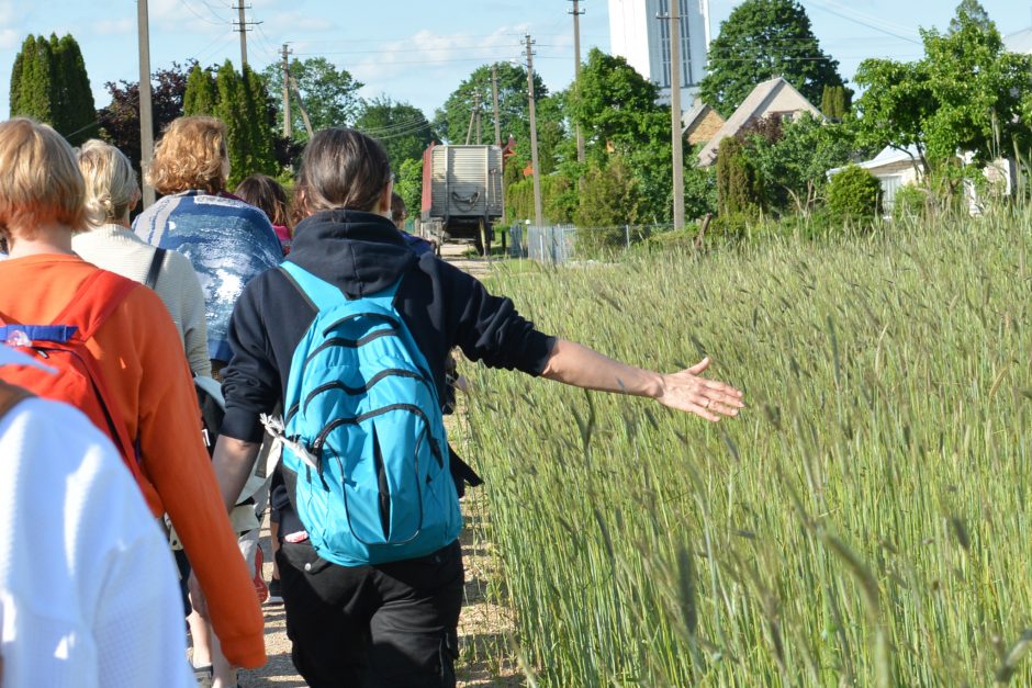 Piligriminiai žygiai į Šiluvą tinka ir nelankantiems bažnyčios