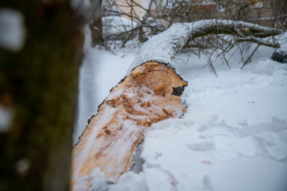 Gausus sniegas ugniagesiams nepašykštėjo darbų – Kauną ir rajoną vadavo iki paryčių