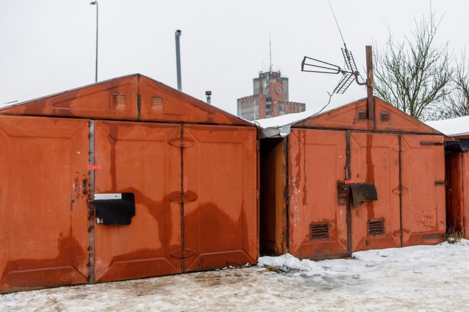 R. Požėla – apie įtariamą mergaitės pagrobėją: baustas už medžių kirtimus, konfliktus su kaimynais