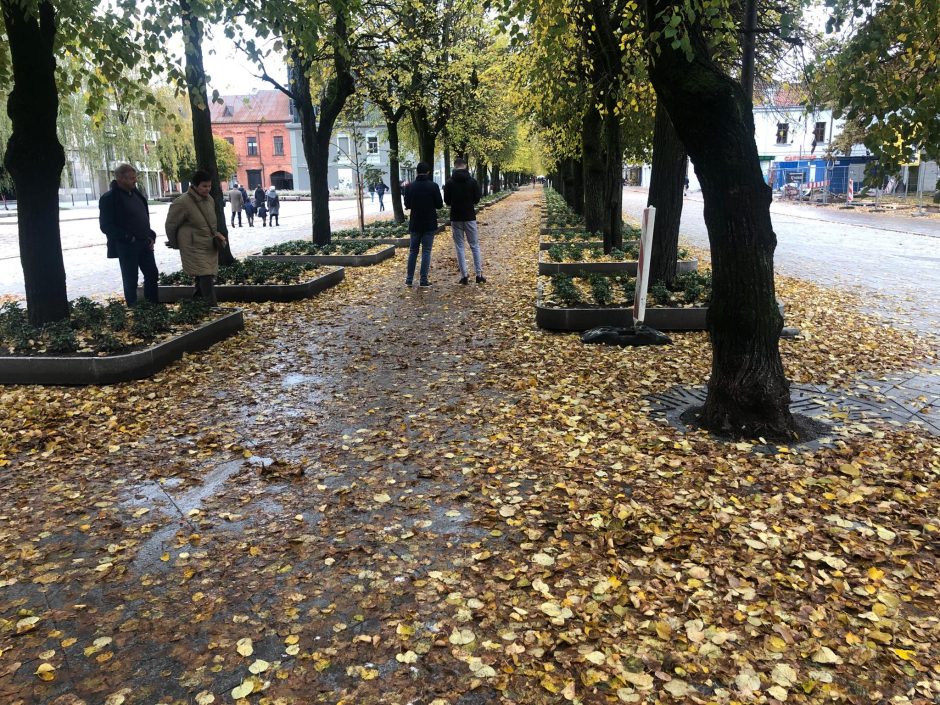 Beda pirštu į lapais nuklotas Kauno gatves: tikrų tikriausia čiuožykla!