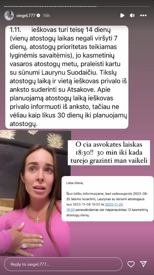 Drama tęsiasi: dėl laiku negrąžinto vaiko L. Suodaitis – vėl teisėsaugos akiratyje