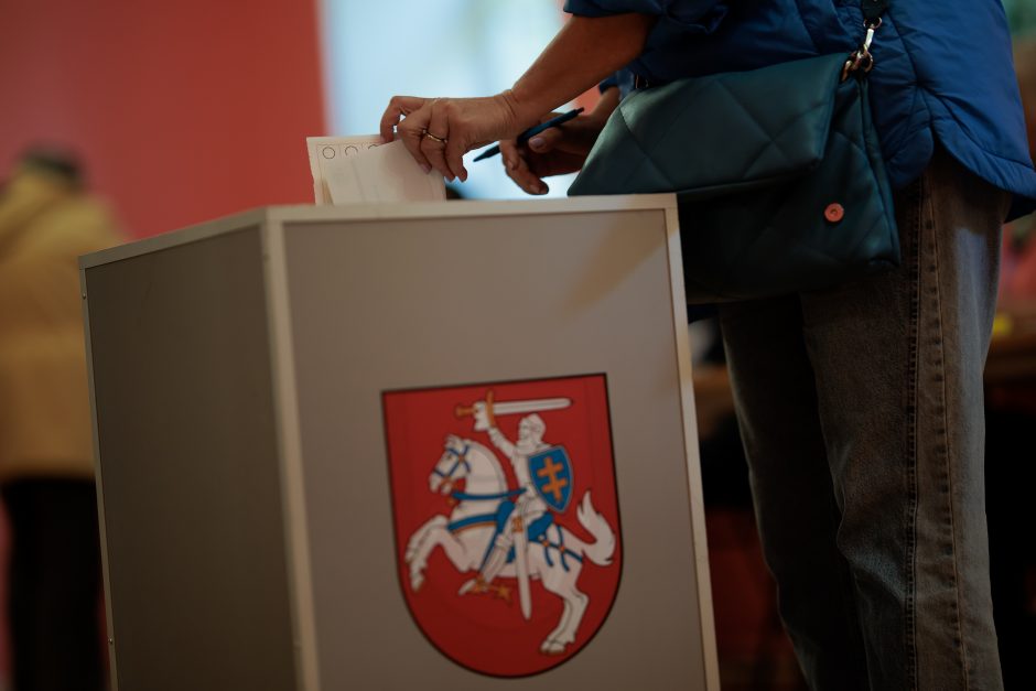 Balsavimas Klaipėdoje: dėl užsienyje gyvenančios klaipėdietės teko kviesti pareigūnus