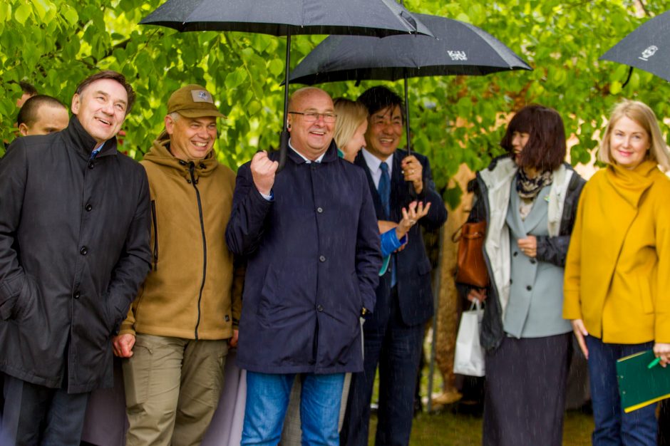 Spalvingo pikniko tarp sakurų nesugadino ir apniukęs dangus