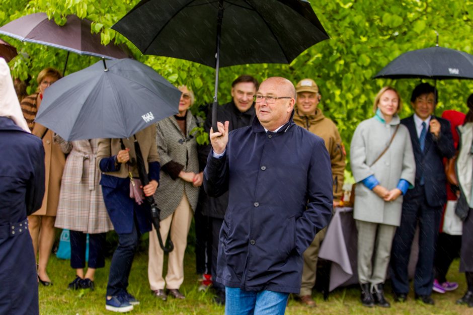 Spalvingo pikniko tarp sakurų nesugadino ir apniukęs dangus