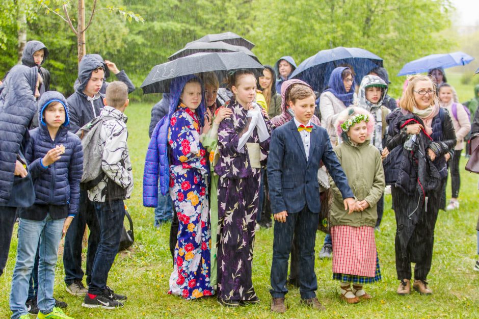 Spalvingo pikniko tarp sakurų nesugadino ir apniukęs dangus