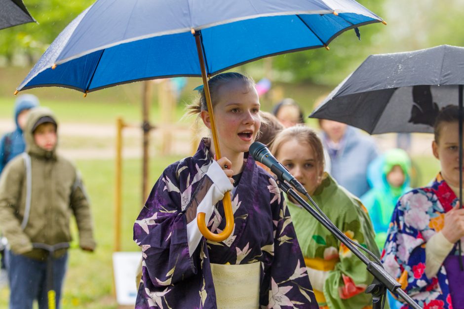 Spalvingo pikniko tarp sakurų nesugadino ir apniukęs dangus