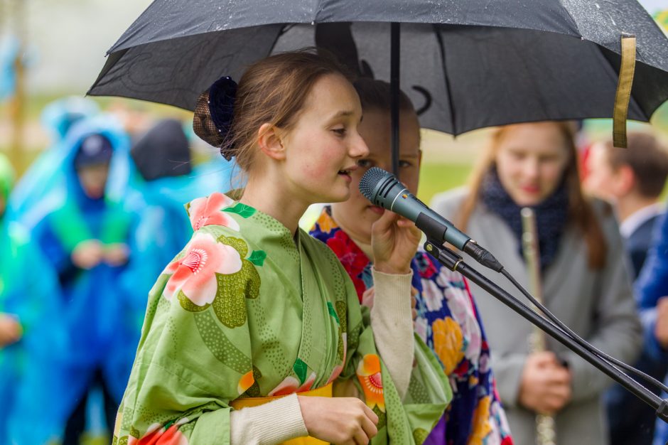 Spalvingo pikniko tarp sakurų nesugadino ir apniukęs dangus