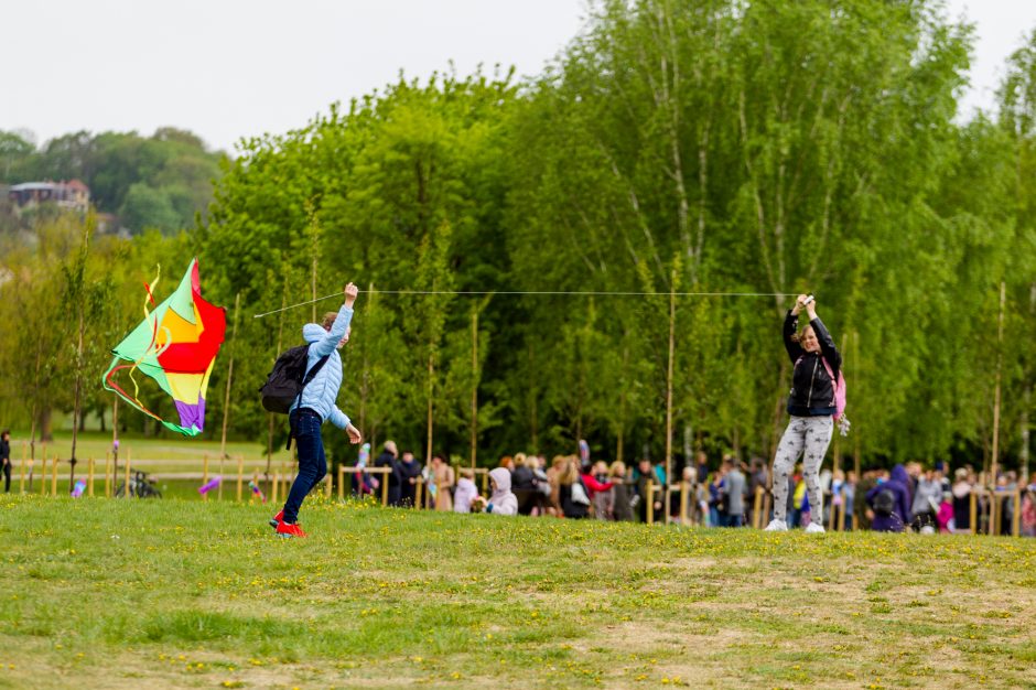 Spalvingo pikniko tarp sakurų nesugadino ir apniukęs dangus