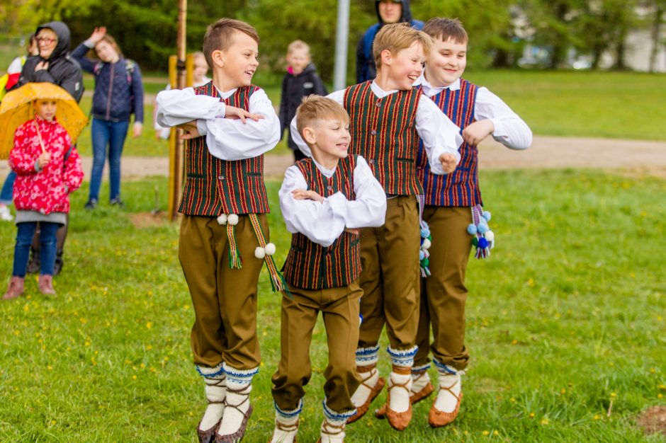 Spalvingo pikniko tarp sakurų nesugadino ir apniukęs dangus