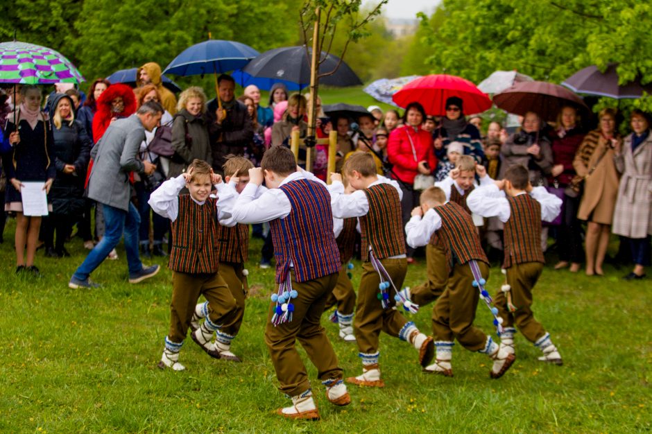 Spalvingo pikniko tarp sakurų nesugadino ir apniukęs dangus