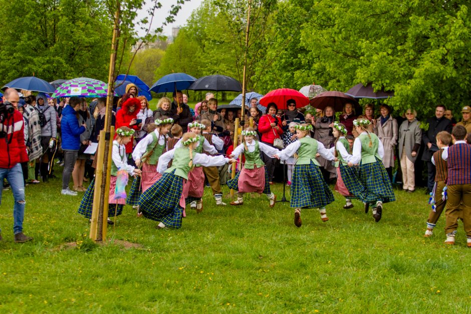 Spalvingo pikniko tarp sakurų nesugadino ir apniukęs dangus