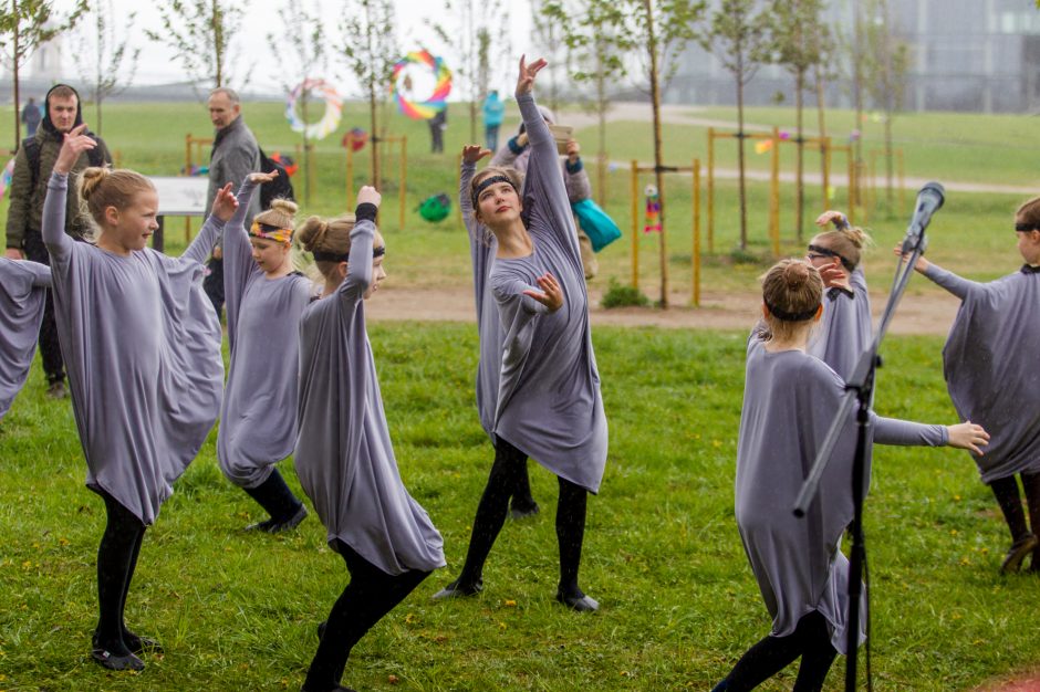 Spalvingo pikniko tarp sakurų nesugadino ir apniukęs dangus