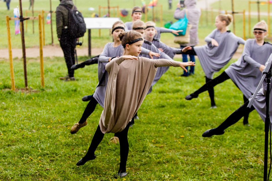 Spalvingo pikniko tarp sakurų nesugadino ir apniukęs dangus