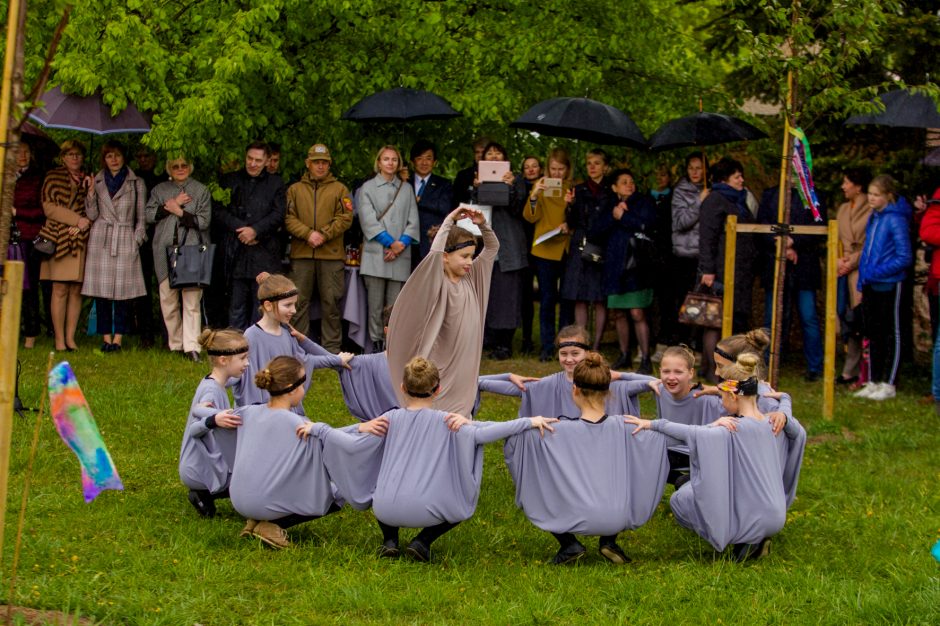 Spalvingo pikniko tarp sakurų nesugadino ir apniukęs dangus