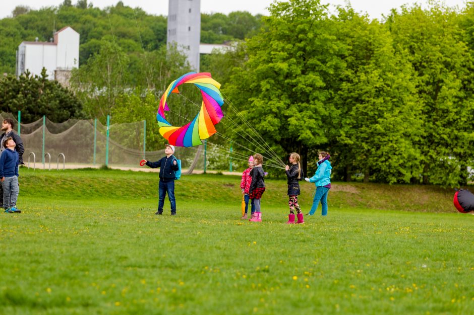 Spalvingo pikniko tarp sakurų nesugadino ir apniukęs dangus