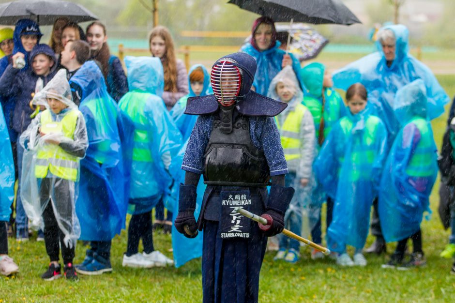 Spalvingo pikniko tarp sakurų nesugadino ir apniukęs dangus