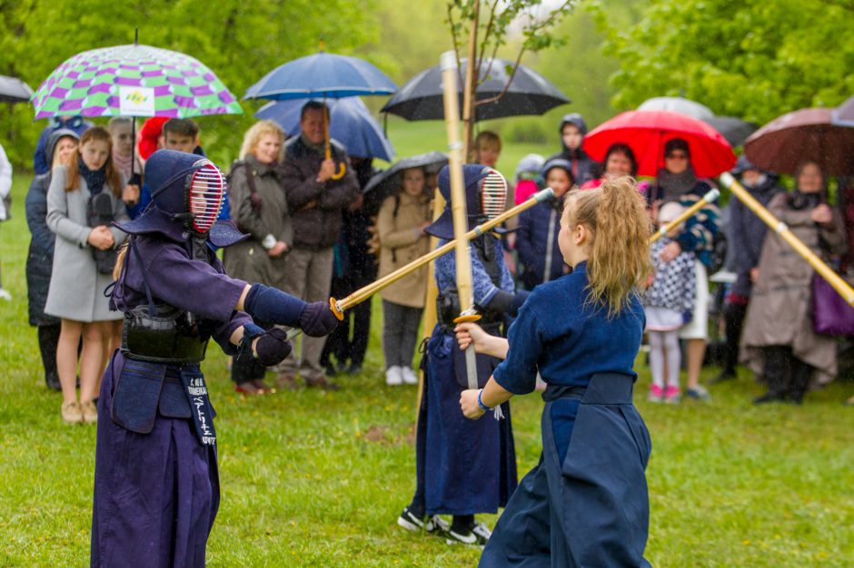 Spalvingo pikniko tarp sakurų nesugadino ir apniukęs dangus