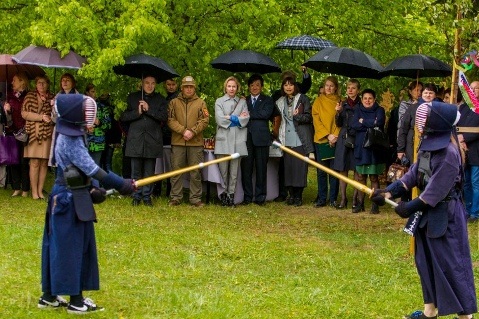 Spalvingo pikniko tarp sakurų nesugadino ir apniukęs dangus