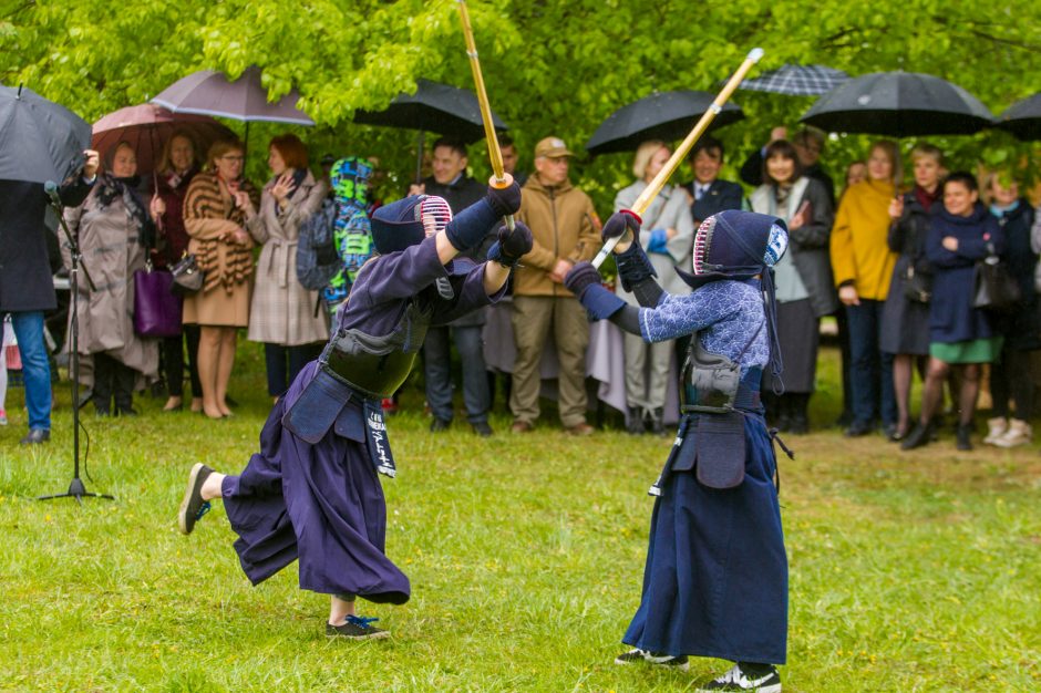 Spalvingo pikniko tarp sakurų nesugadino ir apniukęs dangus