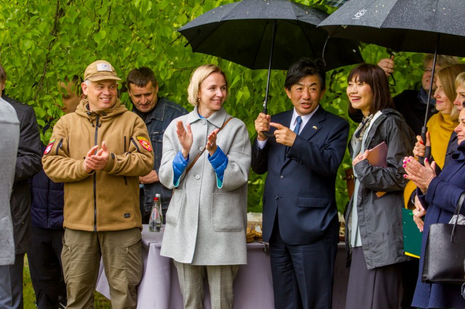 Spalvingo pikniko tarp sakurų nesugadino ir apniukęs dangus