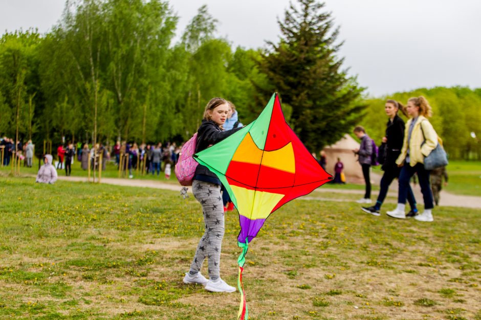 Spalvingo pikniko tarp sakurų nesugadino ir apniukęs dangus