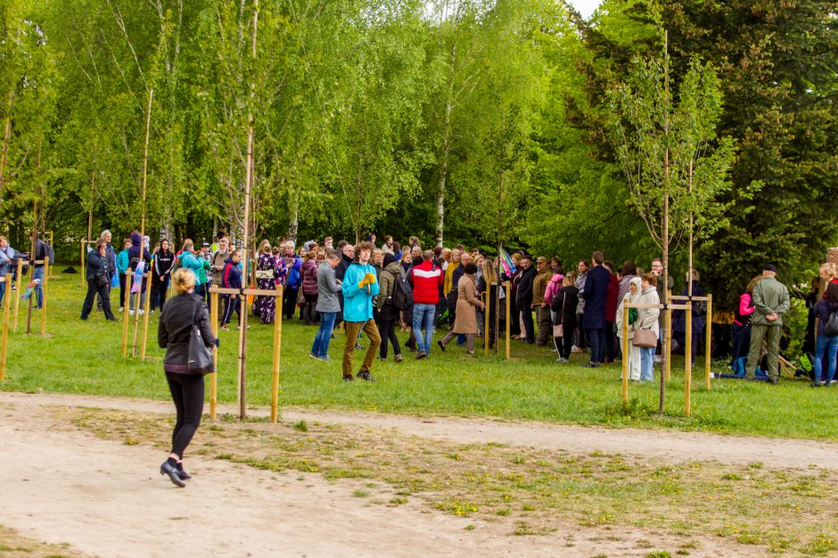 Spalvingo pikniko tarp sakurų nesugadino ir apniukęs dangus