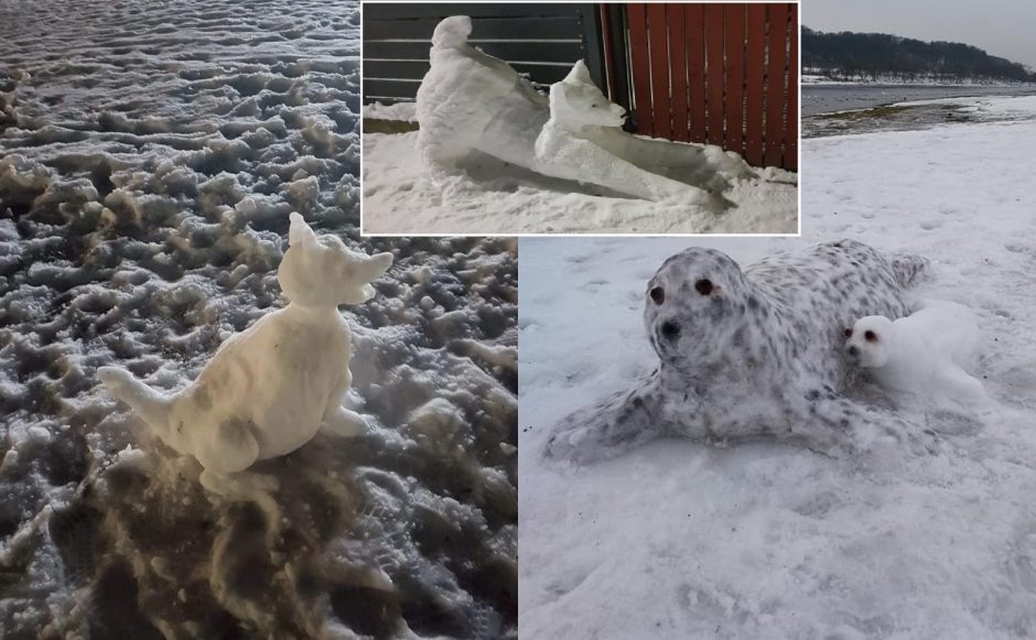 Šančiškiai stebina įspūdingais sniego gyvūnais: gausiau pasnigus ragina kurti visą skulptūrų parką!