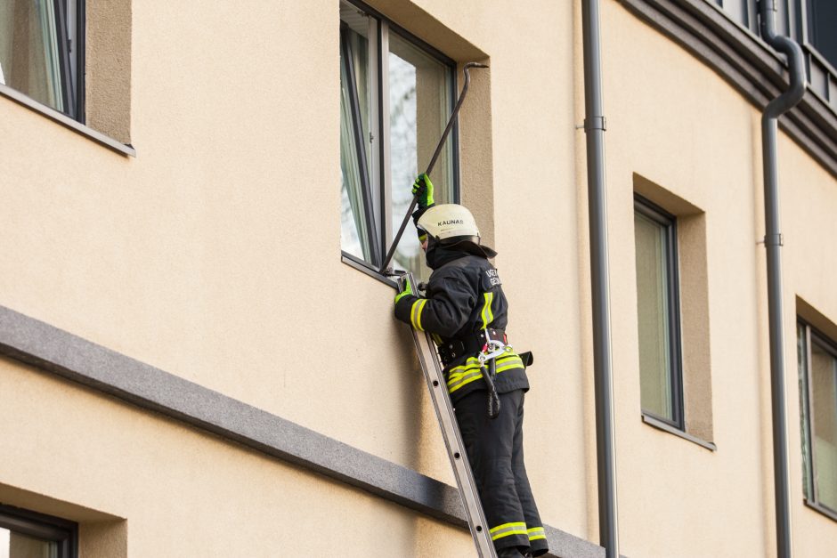 Skandalingojo šturmo byla: nakties vaiduoklis Asilo neišgelbėjo – įkalinamas 4 metams